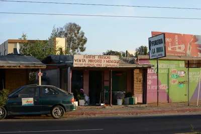 ENSC00234.jpg